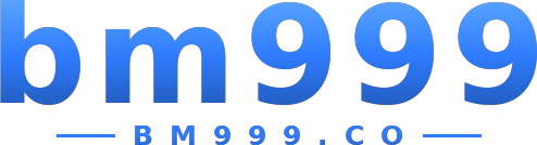 bm999 logo